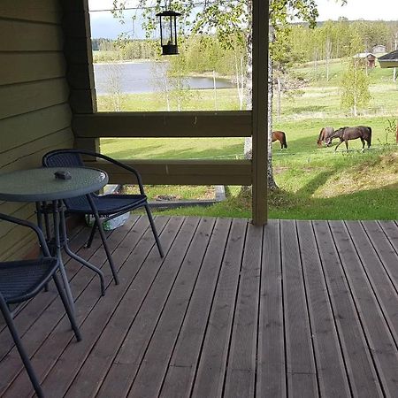 Countryside Cottage By The River Kalix Extérieur photo